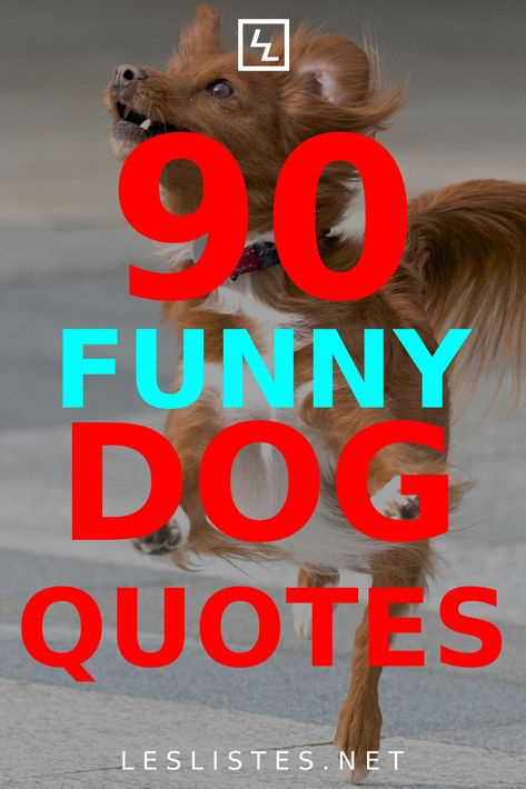 Dogs are known as man’s best friend. With that in mind, check out the top 90 dog quotes you should know and memorize. #dog Man’s Best Friend, Man And Dog Quotes, Mans Best Friend Quotes Dog, Dont Need A Man Quotes, Face Quotes, Rubber Chicken, Dog Lover Quotes, Hype Men, Dog Quotes Funny