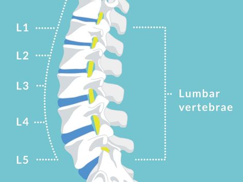 Discovery Zone, Causes Of Back Pain, Bulging Disc, Disk Herniation, Healing Thoughts, Types Of Surgery, Back Pain Exercises, Back Pain Relief, Medical History