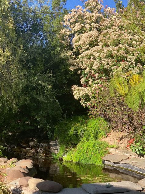 garden koi pond springtime green summer sunshine plants Arianna Season, Kayla Season, Charlotte Season, Kaylin Core, Kaylacore Aesthetic, Kayla Core, Charlotte Aesthetic, Latest Drawing, Spring Aesthetic