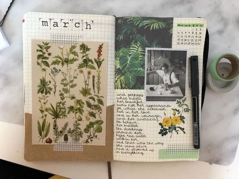 Journal Photography, Jungle Adventure, Scrapbook Book, Art Journal Therapy, Scrapbook Art, Bullet Journal Design Ideas, Bullet Journal Art, Journal Aesthetic, Bullet Journal Spread