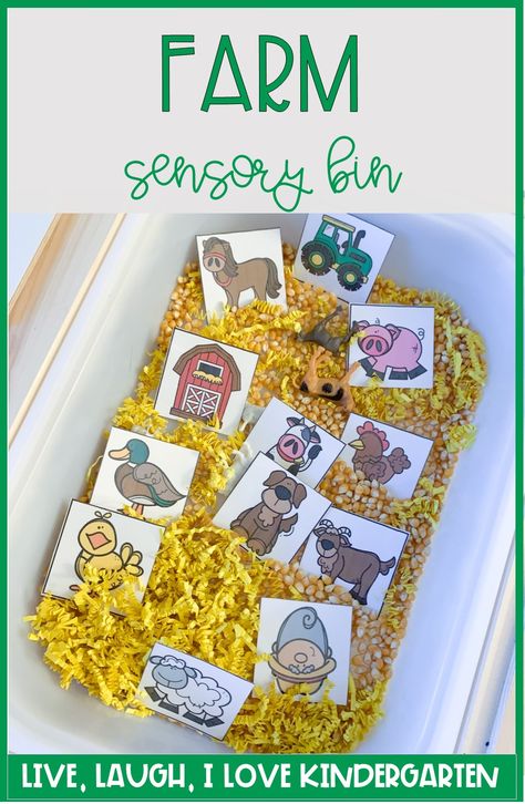 Farmer Sensory Bin, Feed The Farm Animals Sensory Bin, Farm Theme Sensory Bin, Farm Sensory Bin Preschool, Farm Sensory Activities, Farm Sensory, Farm Sensory Bin, Farm Activities Preschool, Farm Week