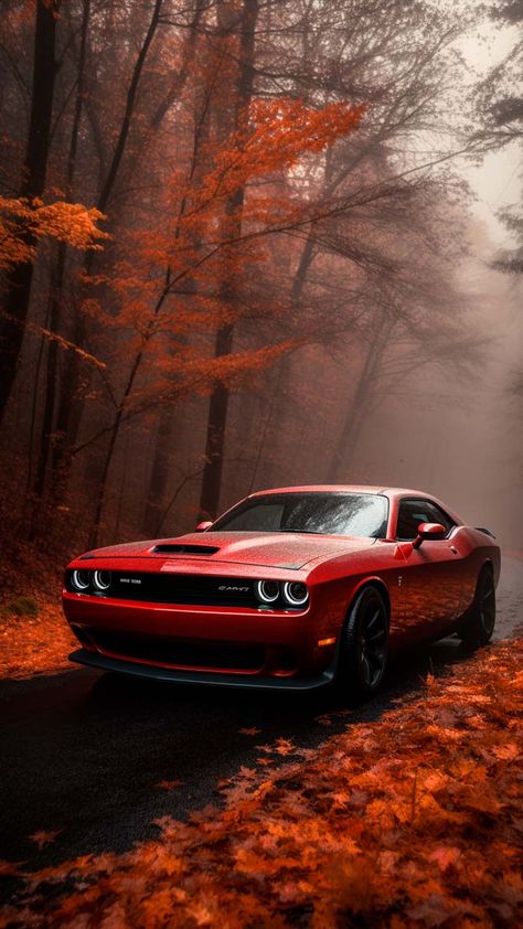 Dodge Challenger Autumn iPhone Wallpaper 4K - iPhone Wallpapers Autumn Iphone Wallpaper, Cool Backgrounds For Iphone, Iphone Wallpaper 4k, Car Iphone Wallpaper, Mustang Wallpaper, Vw Art, Dodge Rams, Ipad Wallpapers, Iphone Wallpaper Fall