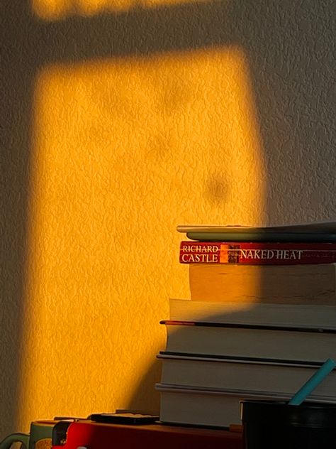 Book Sunset Aesthetic, Sunkissed Book Aesthetic, Hopecore Aesthetic, Bookshelf Aesthetic, Orange Book, Library Aesthetic, Room Book, Aesthetic Candles, Book Pins