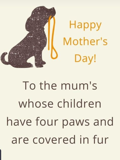 Mother's Day For Pet Parents, Happy Mother’s Day Dog Mums, Happy Fur Mom Day, Happy Mother’s Day From The Dog, Dog Mom Day Quotes, Fur Baby Mothers Day, Spiritual Therapy, Dog Mom Quotes, Dog Mothers Day