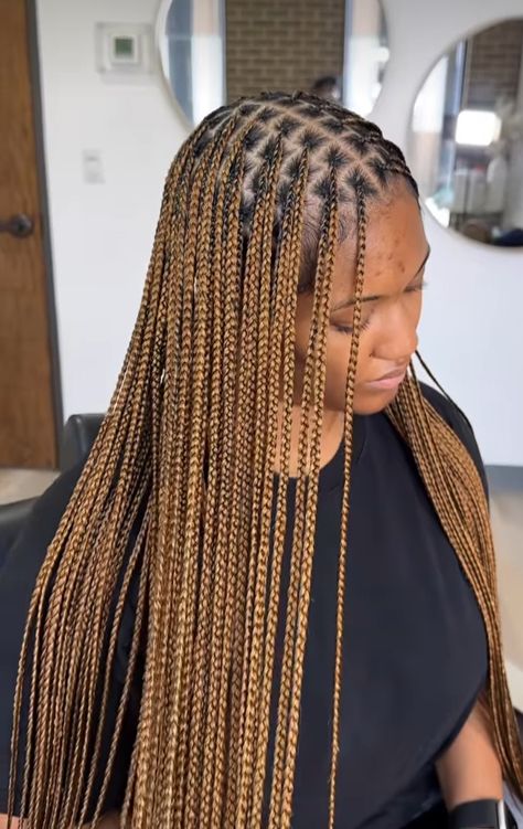 Ombre Brown Box Braids, Honey Blonde And Brown Box Braids, Gold Braids For Black Women, Wine Braids Hairstyles, Caramel Blonde Braids, Box Braids Honey Blonde, Honey Brown Box Braids, Honey Braids, Honey Blonde Braids Black Women