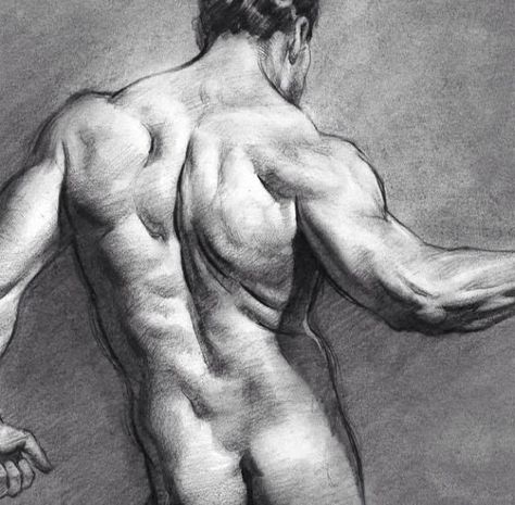 Stan Prokopenko Fundamentals Of Drawing, Video Drawing, Famous Photography, Human Body Parts, Draw Art, Visual Storytelling, Back Muscles, Figure Drawing, Art Tutorials