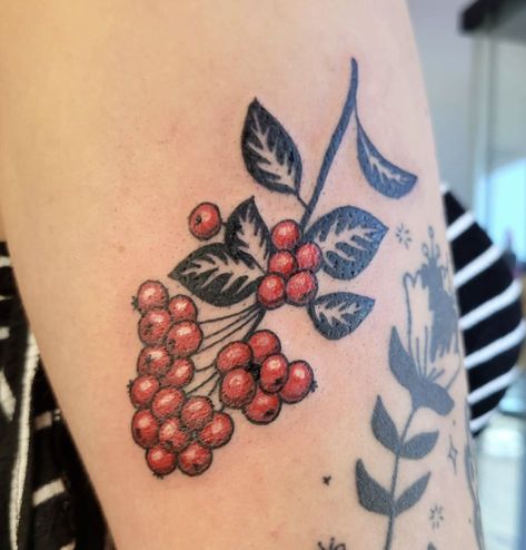 Cranberry Tattoo, American Traditional, Tattoo On, Leaf Tattoos, Flower Tattoo, Cranberry, Tatting, Body Art, Collage