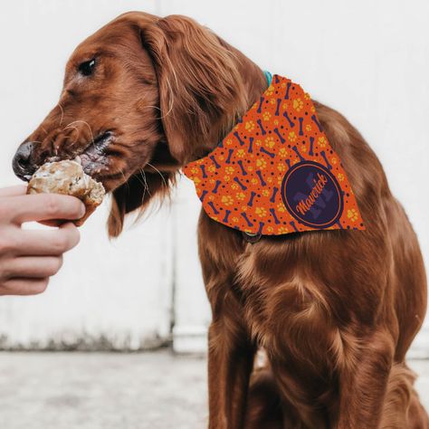 Personalized Halloween Monogram Dog Bandana - halloween bandanas Halloween Monogram, Modern Monogram, Pet Life, Disney Gifts, Star Wars Gifts, Dog Bandana, Bandanas, Sign Poster, Halloween Christmas