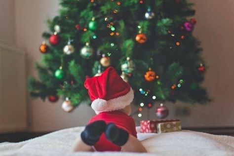 Christmas Pictures Kids, Family Christmas Pictures Outfits, Baby Christmas Photography, Dog Christmas Pictures, Christmas Couple Pictures, Christmas Pictures Outfits, Christmas Baby Pictures, Baby's First Christmas Gifts, Baby Christmas Photos