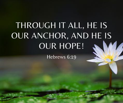 Unchanging God, God Is My Anchor, Anchor Quotes, Christian Facebook Cover, Bible Wisdom, We Rock, Daily Encouragement, The Anchor, God Quotes