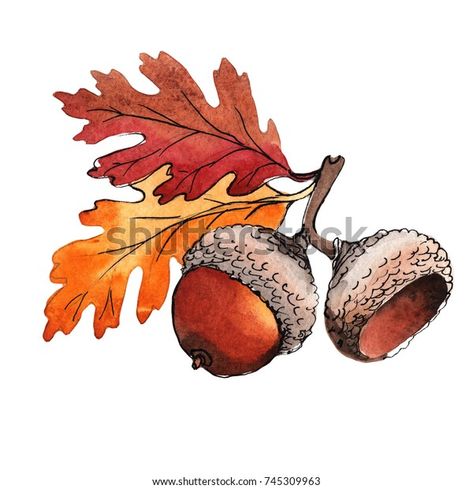 Acorn Drawing, Acorn Image, Boom Kunst, Zucca Halloween, Christmas Card Art, Watercolor Projects, Fall Watercolor, Watercolor Painting Techniques, Watercolor Art Lessons