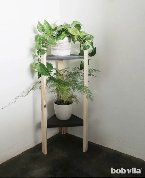 Windowsill gardens are so last season. Instead, build a DIY plant stand to show off both your green thumb and your craftsmanship. Windowsill Garden, Corner Plant, Modern Plant Stand, Support Plante, Wood Plant Stand, Diy Plant Stand, Plant Stand Indoor, Bedroom Plants, Plant Photography