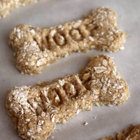 Banana Oat Dog Treat Recipe | ProjectPAWS Oat Flour Dog Treat Recipes, Banana Oat Dog Treats, Rm Dog, Home Food Business, Oat Dog Treats, Dehydrator Dog Treats, Dog Necessities, Banana Dog Treat Recipe, Vegan Dog Food