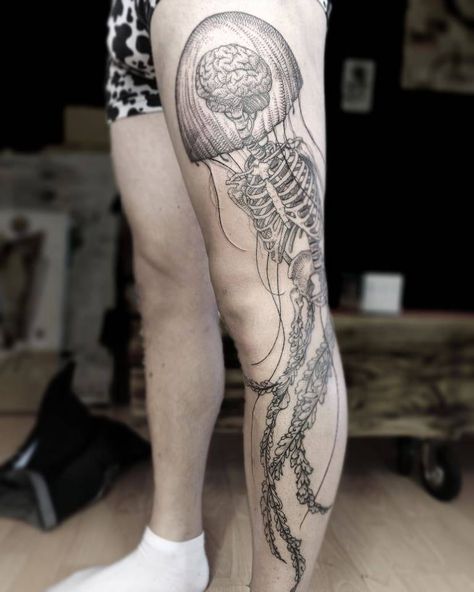 pinterest: hezzprice Jellyfish Tattoo, Skeleton Tattoos, Dangerous Animals, Nature Ocean, Aquatic Animals, Leg Tattoos, Tattoo Artist, Tattoo Studio, Jellyfish