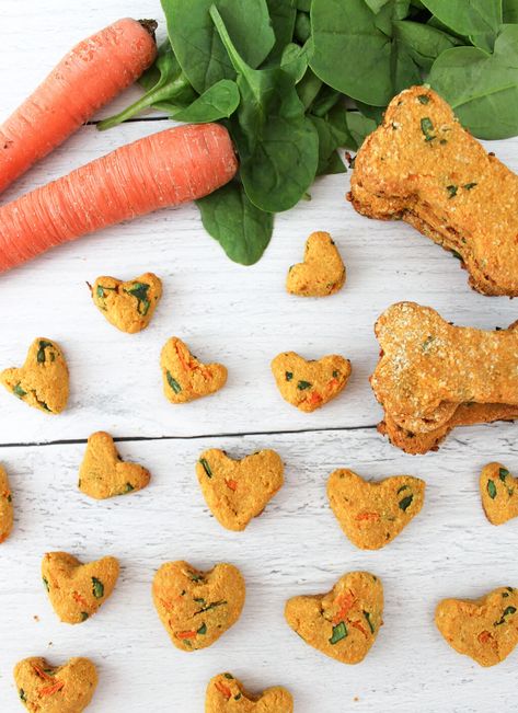 Grain-Free Dog Treats Spinach And Carrot Dog Treats, Carrot Dog Treats Recipes, Green Dog Treat Recipe, Apple Carrot Dog Treats, Minimal Ingredient Dog Treats, Sweet Potato Dog Treats, Dog Treats Grain Free, Against All Grain, Grain Free Diet