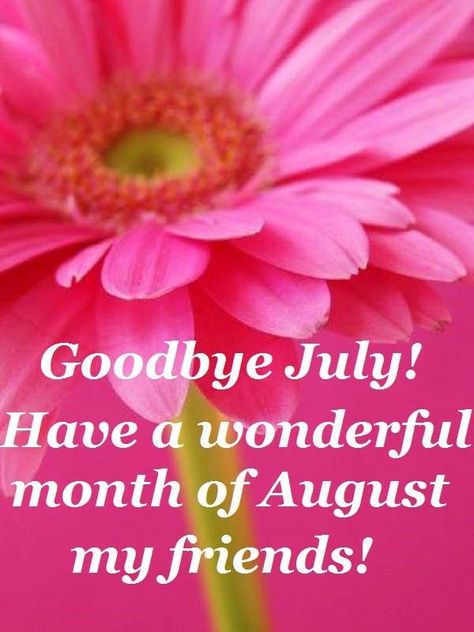 Goodbye July, Hello Pictures, August Month, Wonder