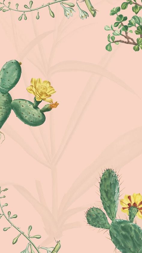 Tropical cactus floral iPhone wallpaper, vintage botanical background | premium image by rawpixel.com Floral Iphone Wallpaper, Iphone Wallpaper Pink, Botanical Background, Cactus Wallpaper, Story Wallpaper, Flower Cactus, Aesthetic Story, Spirituality Affirmations, Wallpaper Flower