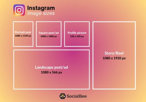 The Updated Social Media Image Sizes Cheat Sheet for 2024 - SocialBee Twitter Header Image, Social Media Cheat Sheet, Scripting Ideas, Social Media Image, Social Media Sizes, Business Branding Inspiration, Twitter Profile Picture, Banner Photo, Twitter Design