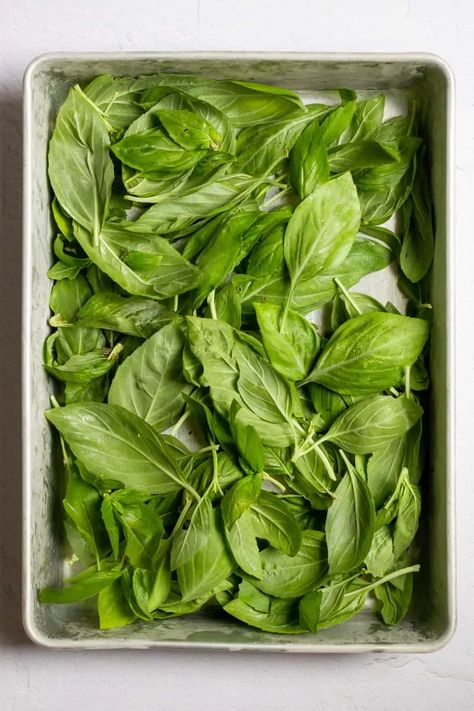 How To Preserve Fresh Basil Leaves, How To Save Fresh Basil, Can You Freeze Fresh Basil, How To Save Basil, Freezing Fresh Basil Leaves, How To Preserve Fresh Basil, How To Freeze Fresh Basil Leaves, How To Preserve Basil Leaves, Preserving Basil Leaves