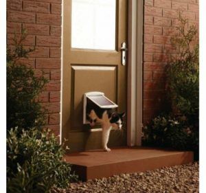 Cat Safe Plants, Safe Door, Cat Flap, Pet Doors, Cat Essentials, Pet Door, Cat Door, Cat Training, Large Animals