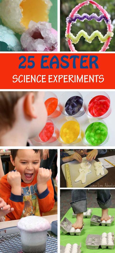 Easter Science Experiments, Easter Science, Candy Experiments, Candy Science, Egg Experiments, Toddler Science Experiments, Science Experiments For Kids, Experiments For Kids, Easter Activities For Kids