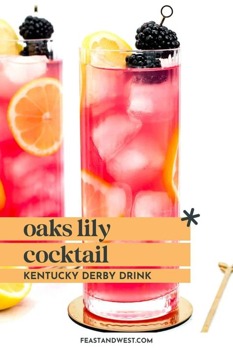 Celebrate springtime with the official cocktail of the Kentucky Oaks race, the Oaks Lily drink. This vodka and cranberry pink drink is worth trying. https://feastandwest.com/2024/04/05/oaks-lily-drink/ Kentucky Oaks Lily Drink, Oaks Lily Cocktail Pitcher, Kentucky Derby Drinks Cocktails, Oaks Lily Cocktail, Kentucky Derby Drinks, Pink Lady Cocktail, Kentucky Derby Food, Kentucky Derby Recipes, Derby Recipe