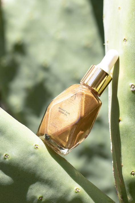 Bronze makeup oil leaning on a cactus Sun Screen Photography, Desert Product Photography, Dreamy Product Photography, Desert Editorial, Personal Project Ideas, Kiss Products, Yellow Moon, Golden Hour Photography, Beauty Products Photography