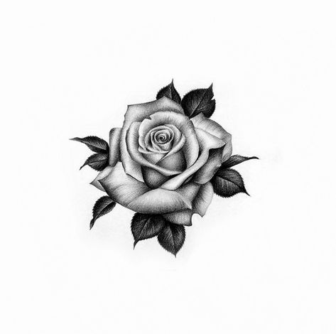 Rose Tattoo Men Back, Rose Tattoo For Guys, Rose Tattoo For Men, Fijian Tattoo, Rose Tattoo Men, Black And Grey Rose Tattoo, Rose Vine Tattoos, Mandala Elephant Tattoo, Square Tattoo