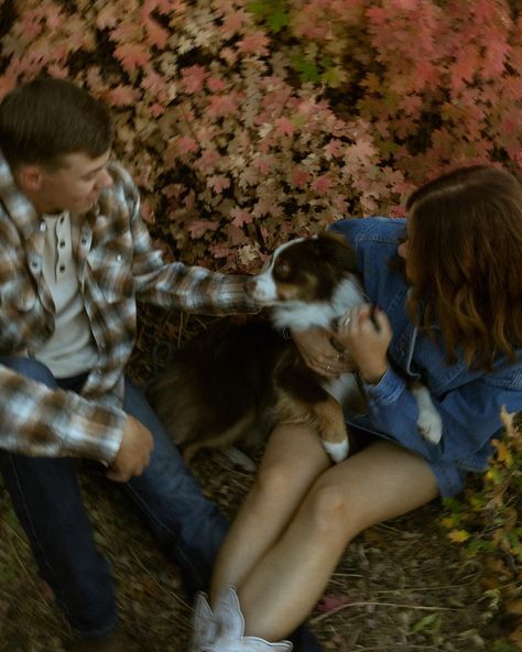 Hannah, Landon, and their cutie dog Hank🤎 #photographer #instagram #fallphotoshoot #fall #cinematicphotography #couplephotos #utahphotographer #utah Photographer Instagram, Fall Photoshoot, Cinematic Photography, Fall Photos, Utah, Couple Photos, Photographer, Quick Saves, Instagram