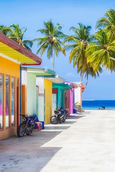 Maafushi Maldives Shopping Street Maldives Trip, Cruise Pictures, Maldives Beach, Visit Maldives, Adventure Travel Explore, Maldives Island, Maldives Travel, Places In The World, Dream Travel Destinations