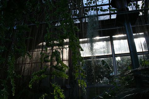 creepy greenhouse Haunted Greenhouse, Scary Garden Aesthetic, Haunted Conservatory, Creepy Greenhouse, Superhero Series, Abandoned Greenhouse Aesthetic Dark, Abandoned Building Vines, Storytelling, Tree Trunk