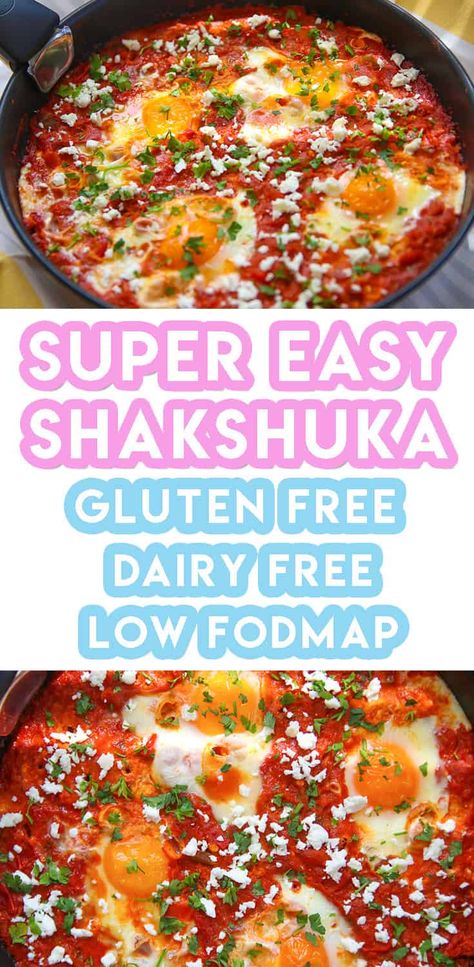 Boyfriend Food, Fodmap Dinner, Fodmap Meals, Roasted Pig, Fodmap Lunch, Fodmap Food, Fodmap Breakfast, Shakshuka Recipe, Shakshuka Recipes