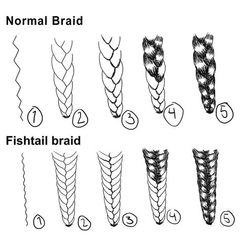 Tutorial, step by step braid and fishtail braid⬇️ | Art Amino Braid Art, Braid Fishtail, Braids Step By Step, How To Draw Braids, Hair References, Draw Hair, Makeup Hacks Beauty Secrets, Fishtail Braid, Braid Tutorial