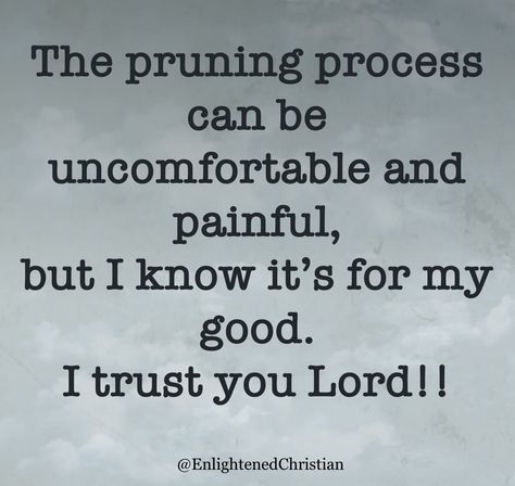 Trust the process. #enlightenedchristian #enlightened #God #Lord #trust #good #know #pain #painful #uncomfortable #prune #pruning #season #forme #empty God's Pruning Process, Pruning Season God, Pruning Season Quotes, Trust Your Path Quotes, Health Benefits Of Prune Juice, In Quietness And Trust Is Your Strength, Lamb With Prunes, I Trust You Lord, Seasons Quotes