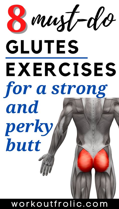 Clam Exercise Glutes, Glutious Maximus Workouts, Glutious Maximus, Glute Muscles Anatomy Exercise, Glute Maximus Workout, Gluteus Maximus Exercises, Gluteus Maximus Workout, Glute Exercises Gym, Starting Workout