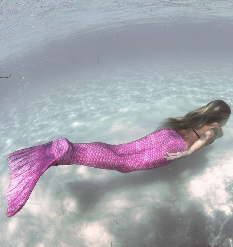 Real Mermaids Photos, Mermaid Tail Fin, Fin Fun Mermaid Tails, Mermaid Swim Tail, Fin Fun Mermaid, Fin Fun, Princess Charm School, Disney Furniture, Underwater Pictures