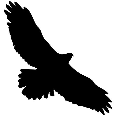 Hawks and Falcons Browse by Shape, All About Birds, Cornell Lab of Ornithology Hawk Silhouette, Hawk Flying, Hawk Wings, Red Clipart, Northern Goshawk, Fish Outline, Hawk Tattoo, Drawing Bird, Eagle Silhouette