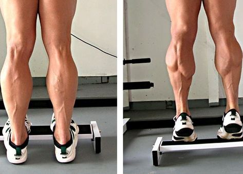 How to Build Awesome Calves - Garage Gym Builder Calf Muscle Workout, Soleus Muscle, Calf Exercises, Muscle Stretches, Build Muscle Fast, Leg Training, Workout Posters, Calf Muscles, Workout Ideas