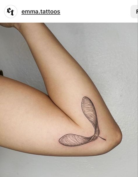 Scallion Tattoo, Maple Helicopter Tattoo, Helicopter Leaves Tattoo, Helicopter Plant Tattoo, Helicopter Leaf Tattoo, Helicopter Pilot Tattoo, Helicopter Seed Tattoo, Helicopter Tattoo, Maple Leaf Seed Tattoo