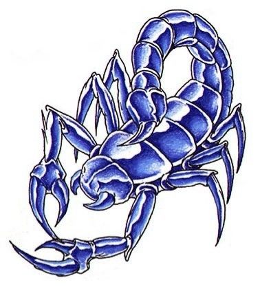 Acdc Artwork, Scorpion Tattoo Ideas, Tattoos Scorpio, Blue Scorpion, 99 Tattoo, Scorpion Tattoo Design, Reference Tattoo, Scorpion Art, Scorpio Tattoos