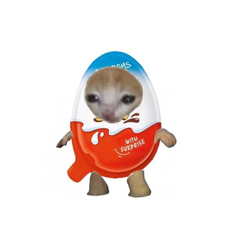 Cat Food Pdp, Cat In Food, Food Cat Pfp, Cursed Cat Pfp, Crying Cat Costume, Meme Cats, Cats Pfp, Cursed Cat, Food Meme