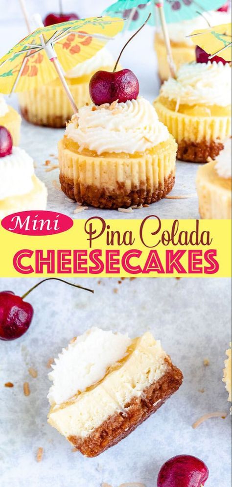 Everything you love about Piña Coladas wrapped up in a bite-sized cheesecake! | queensleeappetit.com Flavoured Cheesecake, Pineapple Cheesecake, Coconut Cookie, Pineapple Sauce, Mini Cheesecake Recipes, Coconut Cheesecake, Cheesecake Mini, Cheesecake Cupcakes, Easy Cheesecake Recipes