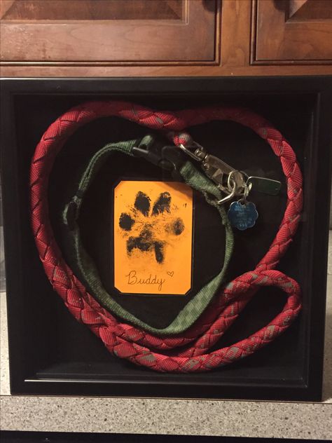 Memory shadow box: dog leash and collar frame out paw print in the shape of a heart.   Dog tags on collar hang freely, just the way Buddy proudly wore them. Shadow Box With Dog Collar, Dog Collar Shadow Box Pet Memorials, Dog Leash Memorial Ideas, Dog Collar Memorial Ideas Diy, Dog Shadow Box Ideas, Dog Collar Memorial Ideas, Dog Memory Shadow Box Ideas, Memory Shadow Box, Dog Leash And Collar