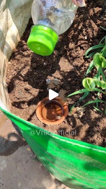 Vrikz | Gardening | Plants | DIY on Instagram: "Make matka irrigation for your plant.   #reels #garden #gardening #plants #diy #reel" Plants Diy, Sweet Dishes Recipes, Gardening Plants, Reels Instagram, Small Space Gardening, Diy Plants, April 27, Life Savers, Small Space