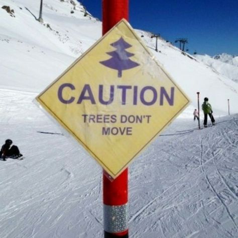 Captain Obvious, You Dont Say, Funny Signs, On The Side, Bones Funny, The Snow, Snowboarding, Funny Photos, Dumb And Dumber