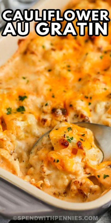 Cauliflower is seasoned & roasted, then tossed in a cheesy, creamy sauce & baked to create this Cauliflower au Gratin! Cauliflower Au Gratin, Cauliflower Side Dish, Galveston Diet, Veggie Plate, Cauliflower Casserole Recipes, Au Gratin Recipes, Cauliflower Dishes, Easy Cauliflower, Baked Cauliflower