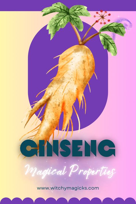 Ginseng bridges the natural and supernatural realms, with roots deeply entrenched in ancient medicinal wisdom and spiritual practice. Uncover the secrets of this powerful herb and its profound effects on health and vitality. #GinsengMagic #AncientHealing #VitalitySecrets #HerbalWisdom #SpiritualHerbs Ginseng Magical Properties, Native American Knowledge, Health And Vitality, Herbal Magic, Holistic Remedies, Green Witch, Different Plants, Medicinal Herbs, Mental Clarity