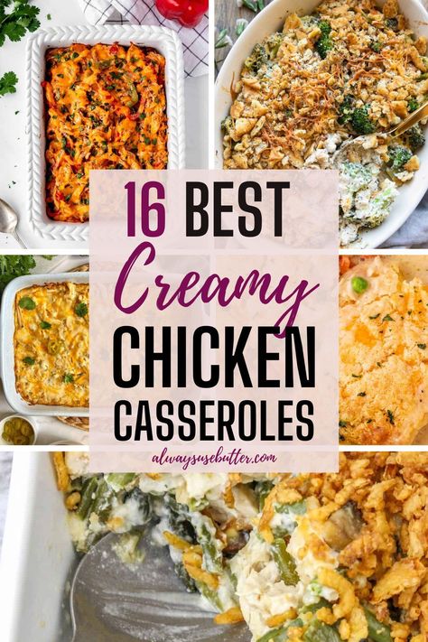 Whip up quick and delicious dinners with these creamy chicken casseroles! Explore recipes packed with noodles, bacon, and creamy goodness for a comforting meal. Creamy Chicken Casserole Recipes, Creamy Noodles, Poppy Seed Chicken Casserole, Easy Creamy Chicken, Chicken Casserole Recipes, Savory Bacon, Broccoli Pasta Bake, Quick Delicious Dinner, Creamy Chicken Casserole