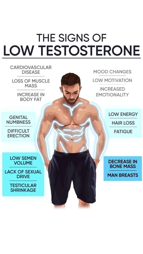 The Signs Of Low Testosterone Check more at https://testa.my.id/?p=12896 Fruit Health Benefits, Increase Muscle Mass, Mood Changes, Health And Fitness Articles, Fitness Articles, Bodybuilding Workouts, Muscle Mass, The Signs, Fitness Lifestyle