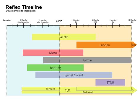 Reflex Integration, Primitive Reflexes, School Help, Learning Disabilities, Occupational Therapy, Bar Chart, Wall